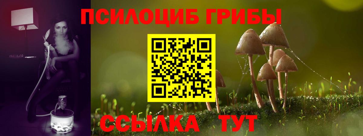 Псилоцибиновые грибы GOLDEN TEACHER  Вход с VPN  наркошоп  Галлюциногенные грибы мухоморы  Верхняя Салда 