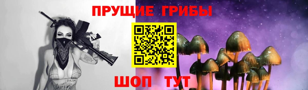 Галлюциногенные грибы прущие грибы Верхняя Салда